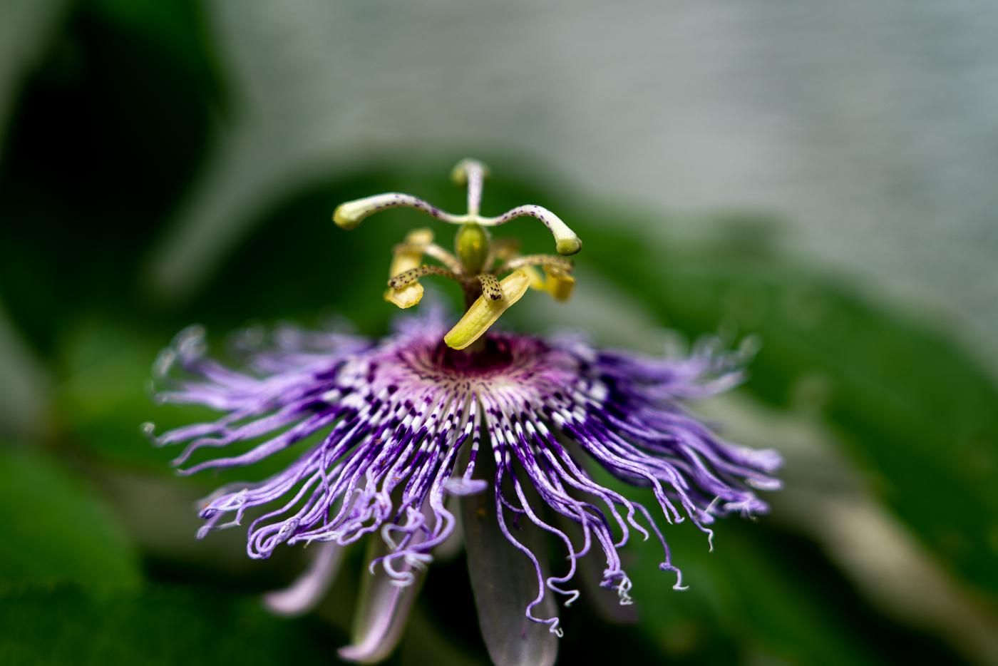 Photograph: fa 03