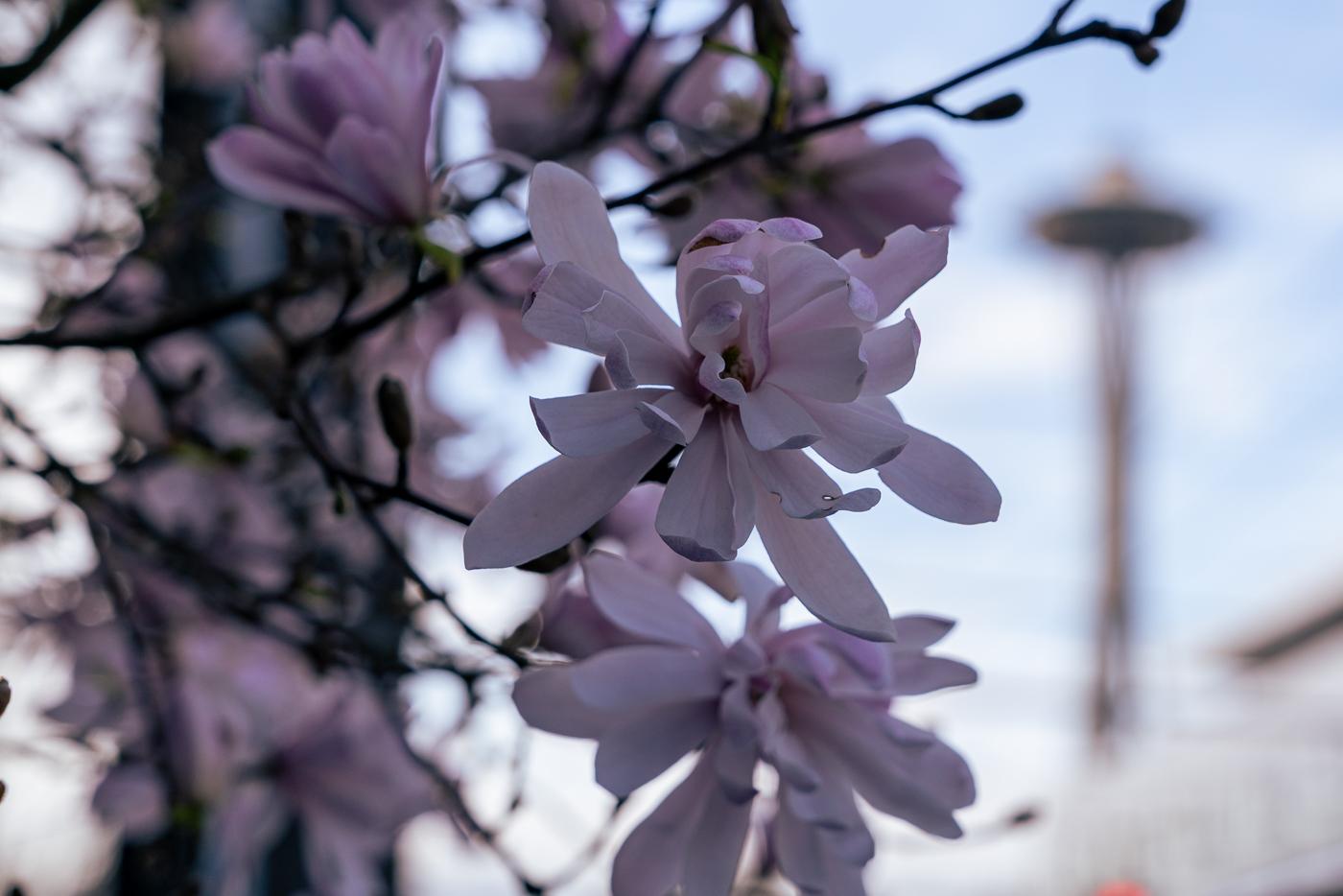 Photograph: fa 11